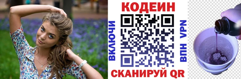 Купить закладки  Шенкурск  Кодеин Purple Drank 