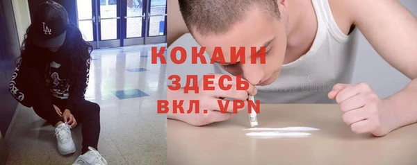 стаф Горняк