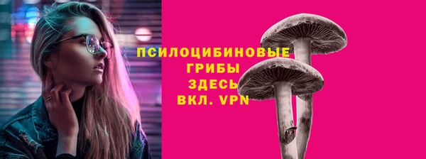 MDMA Premium VHQ Горнозаводск