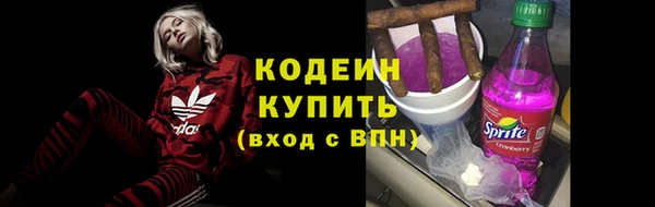 стаф Горняк