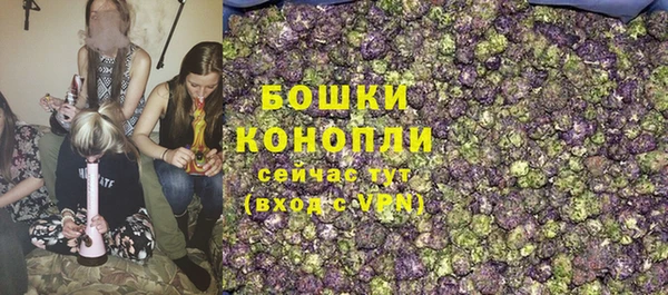 стаф Горняк
