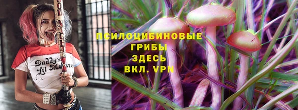 стаф Горняк