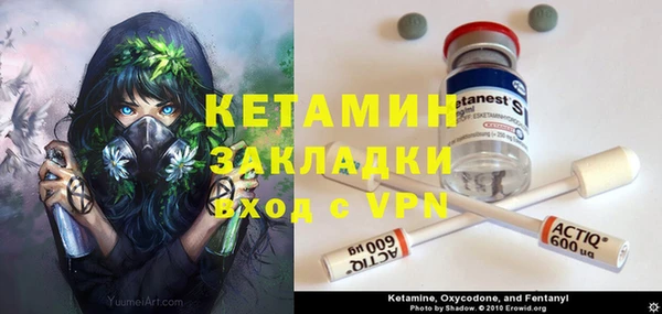 стаф Горняк