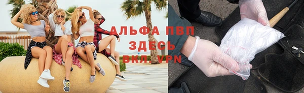 стаф Горняк