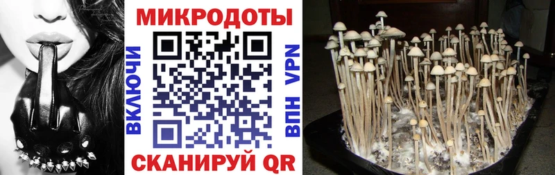 Псилоцибиновые грибы GOLDEN TEACHER  Купить закладки  Шенкурск 